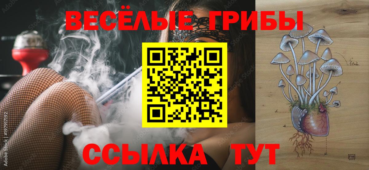 Псилоцибиновые грибы Cubensis  Вход с VPN  Елабуга 